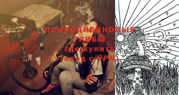 эйфоретик Пересвет
