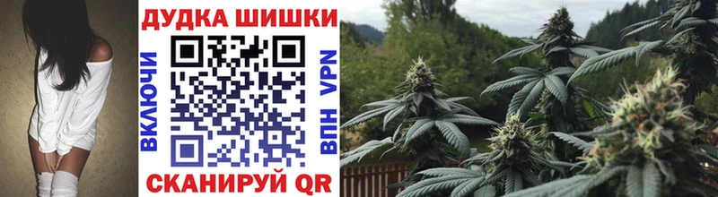 Канабис план  купить наркоту  Брянск 